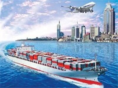 海运进出口货物的国际运输代理 相关图片