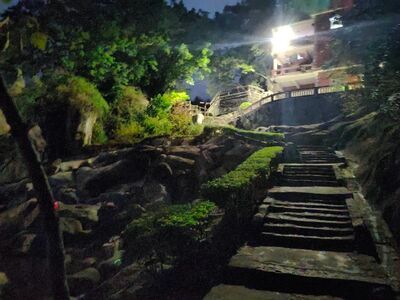 长期宁德到厦门包车来回 相关图片
