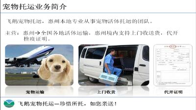 惠州飞鹅宠物托运 惠城,龙门,博罗,惠东,淡水 可上门 相关图片