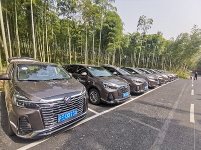 上海租车/轿车/商务车/公务车/中巴大巴租赁服务 相关图片