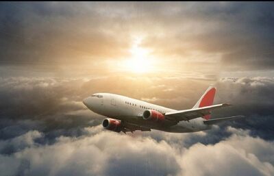 固原机场恒翔航空 宠物航空托运到别的城市 上门接送 相关图片
